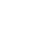 UEFA Champions League