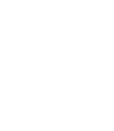 IN
