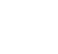 Insight Studios